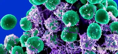 合成生物技術(shù) 美陸軍醫(yī)藥領(lǐng)域研發(fā)的戰(zhàn)略新焦點